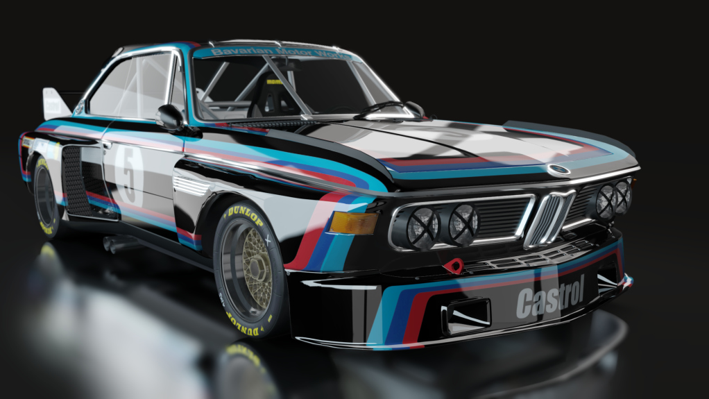 ACL GTR BMW CSL 3.0, skin bmw5
