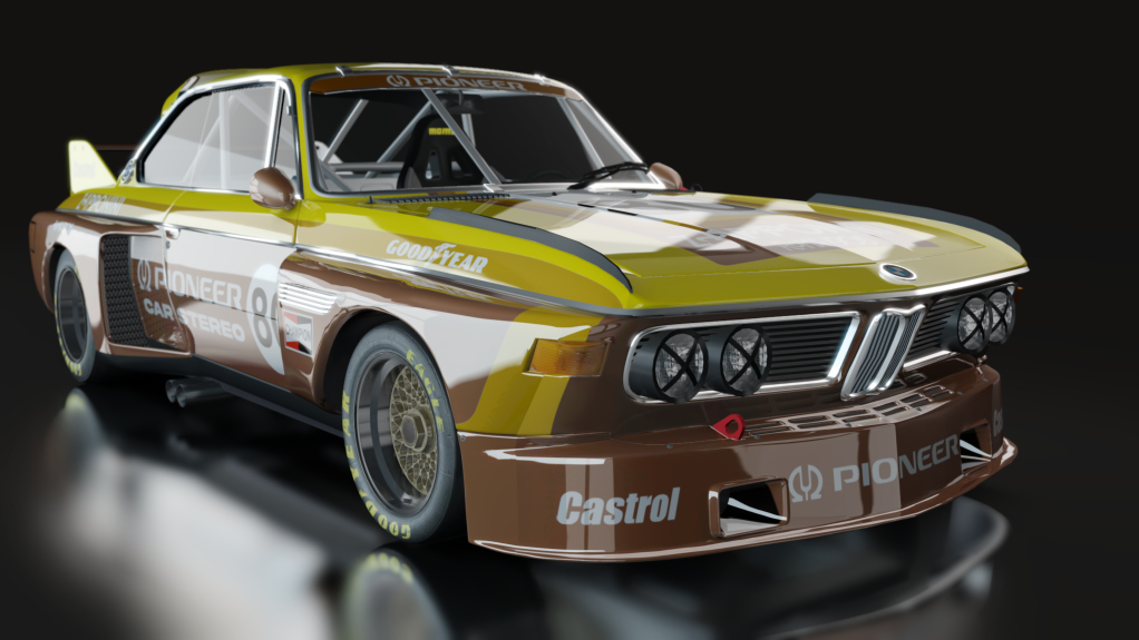 ACL GTR BMW CSL 3.0, skin pioneer