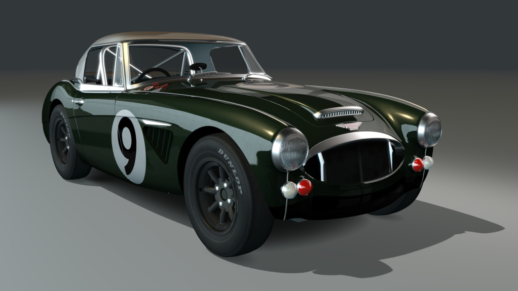 ACL GTC Healey 3000 Lightweight, skin green9