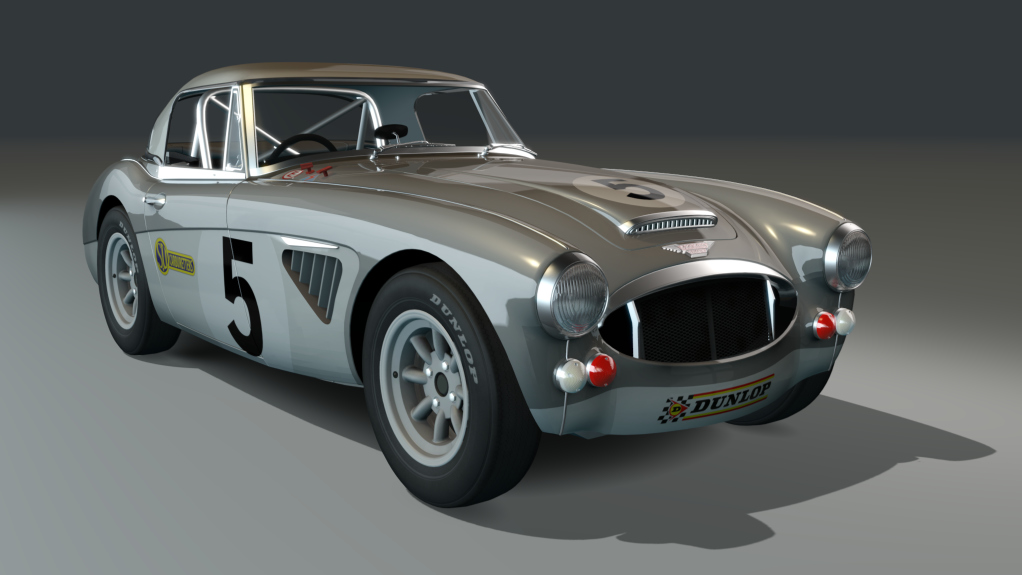 ACL GTC Healey 3000 Lightweight, skin grey5