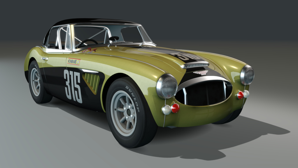 ACL GTC Healey 3000 Lightweight, skin yellow315