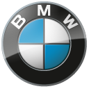 BMW 1M CUP P2P Badge