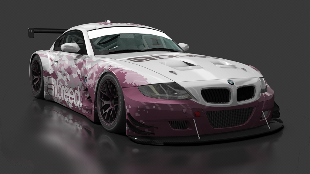 DW BMW Z4 M Coupe GT3, skin 10