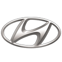 Hyundai Elantra N TCR 2024 Badge