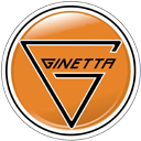 Ginetta G40 GT5 Badge