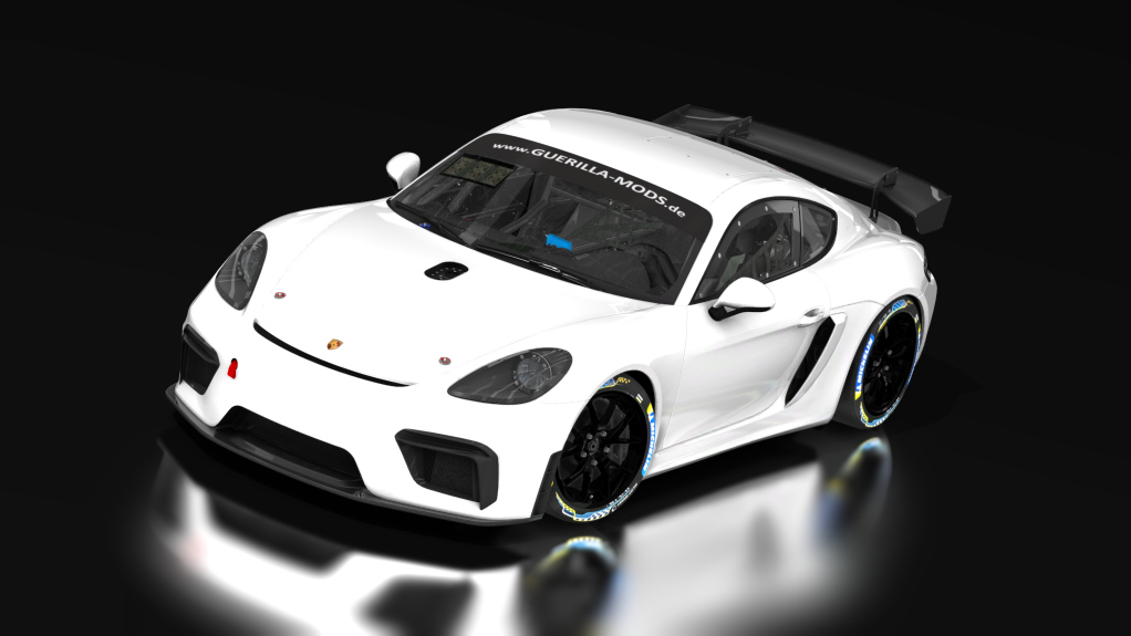 GT4 Porsche 718 Cayman, skin 2023_RTF_XXX