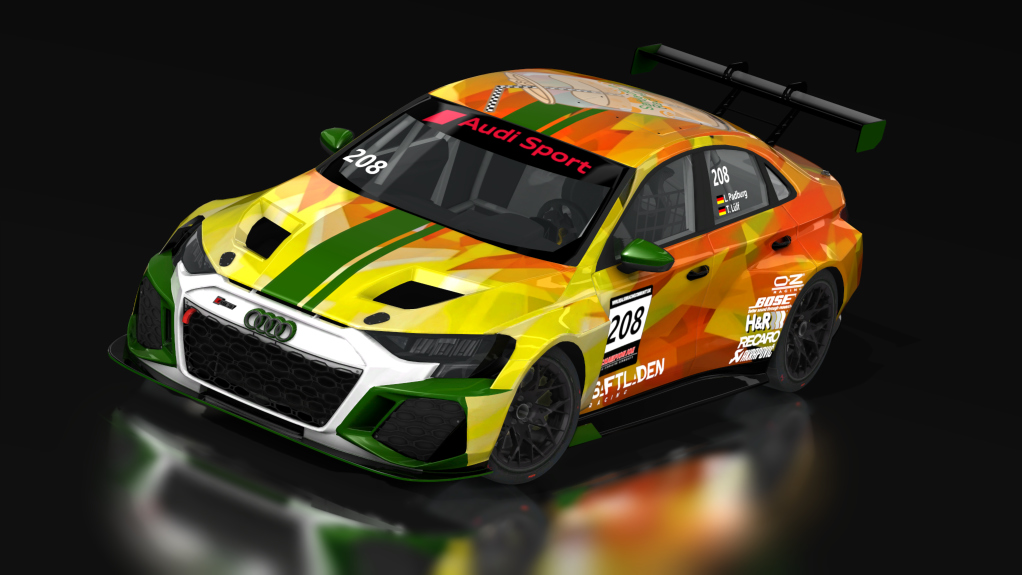 TCR Audi RS3 LMS, skin 2023_RTF_208