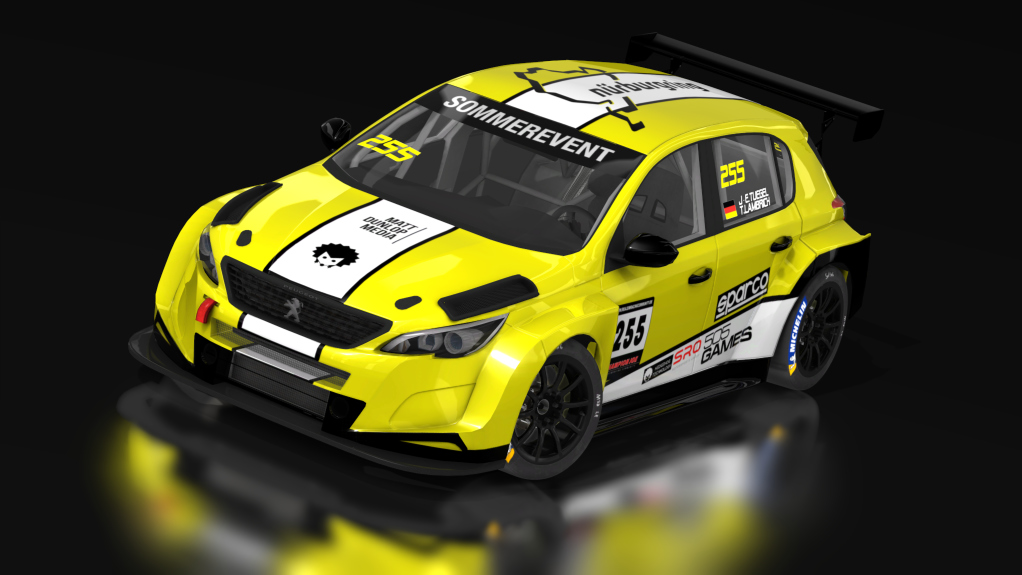 TCR Peugeot 308 Preview Image